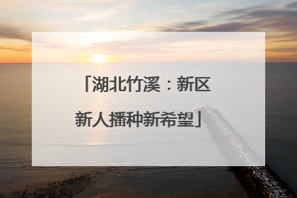 湖北竹溪：新区新人播种新希望