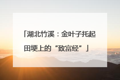 湖北竹溪：金叶子托起田埂上的“致富经”