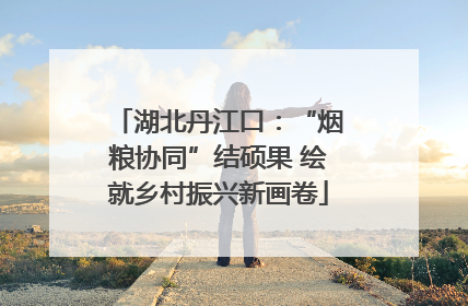 湖北丹江口：“烟粮协同”结硕果 绘就乡村振兴新画卷