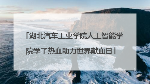 湖北汽车工业学院人工智能学院学子热血助力世界献血日