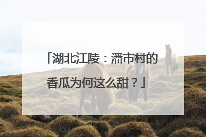 湖北江陵：潘市村的香瓜为何这么甜？