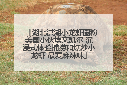 湖北洪湖小龙虾圈粉美国小伙埃文凯尔 沉浸式体验捕捞和爆炒小龙虾 最爱麻辣味