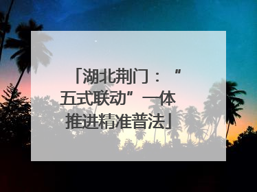 湖北荆门：“五式联动”一体推进精准普法