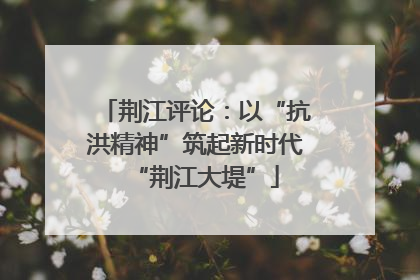 荆江评论：以“抗洪精神”筑起新时代“荆江大堤”