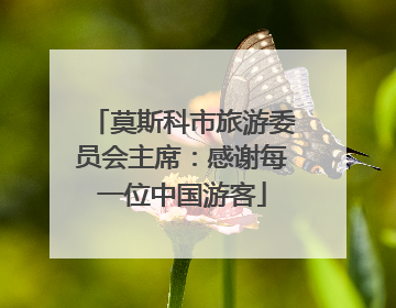 莫斯科市旅游委员会主席：感谢每一位中国游客