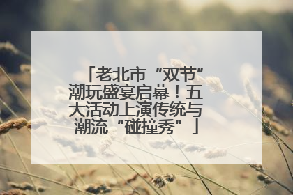 老北市“双节”潮玩盛宴启幕！五大活动上演传统与潮流“碰撞秀”