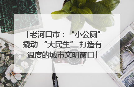 老河口市：“小公厕” 撬动 “大民生” 打造有温度的城市文明窗口