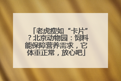 老虎瘦如“卡片”？北京动物园：饲料能保障营养需求，它体重正常，放心吧