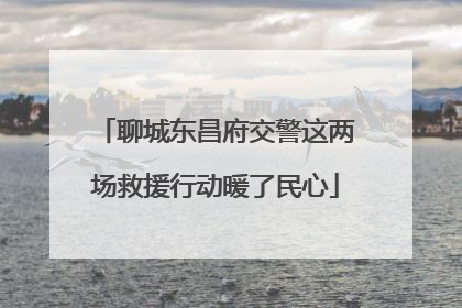 聊城东昌府交警这两场救援行动暖了民心