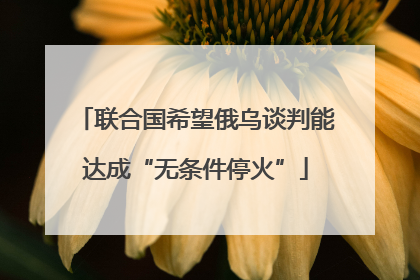 联合国希望俄乌谈判能达成“无条件停火”