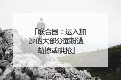 联合国：运入加沙的大部分面粉遭劫掠或哄抢
