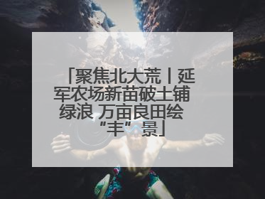 聚焦北大荒丨延军农场新苗破土铺绿浪 万亩良田绘“丰”景