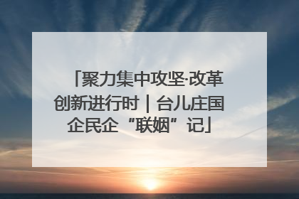 聚力集中攻坚·改革创新进行时｜台儿庄国企民企“联姻”记