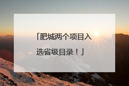 肥城两个项目入选省级目录！