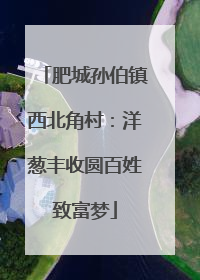 肥城孙伯镇西北角村：洋葱丰收圆百姓致富梦