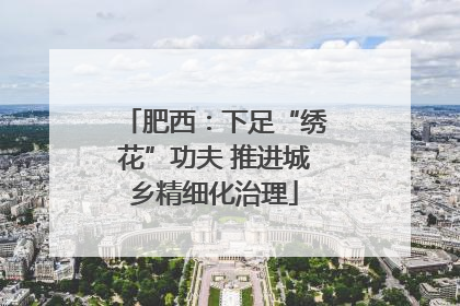 肥西：下足“绣花”功夫 推进城乡精细化治理