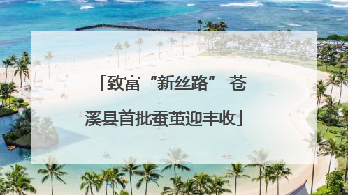 致富“新丝路” 苍溪县首批蚕茧迎丰收
