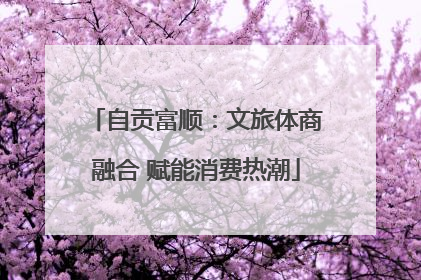 自贡富顺：文旅体商融合 赋能消费热潮