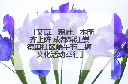 艾草、粽叶、木箭齐上阵 成都锦江崇德里社区端午节主题文化活动举行
