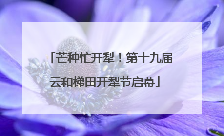 芒种忙开犁！第十九届云和梯田开犁节启幕