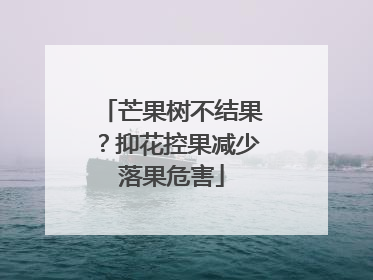 芒果树不结果？抑花控果减少落果危害
