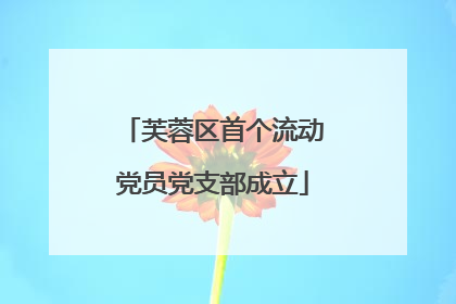 芙蓉区首个流动党员党支部成立