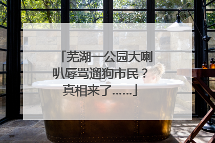 芜湖一公园大喇叭辱骂遛狗市民？真相来了……