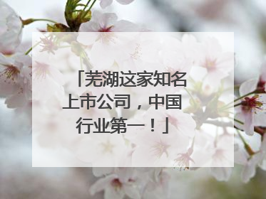 芜湖这家知名上市公司，中国行业第一！