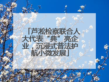 芦淞检察联合人大代表“典”亮企业，沉浸式普法护航小微发展