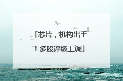 芯片,机构出手!多股评级上调