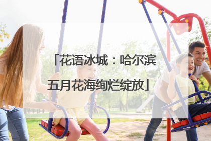 花语冰城：哈尔滨五月花海绚烂绽放