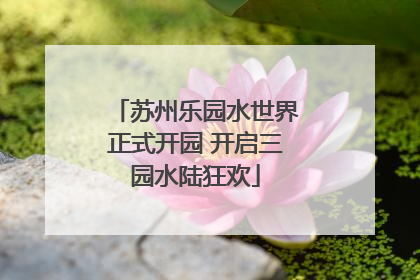 苏州乐园水世界正式开园 开启三园水陆狂欢