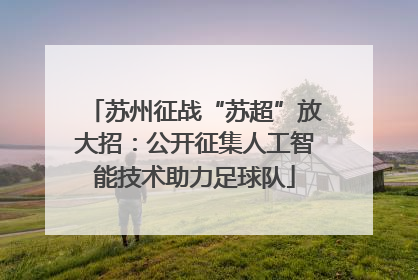 苏州征战“苏超”放大招：公开征集人工智能技术助力足球队