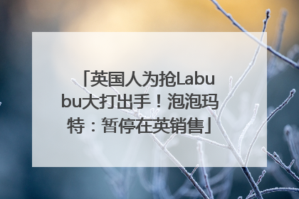 英国人为抢Labubu大打出手！泡泡玛特：暂停在英销售