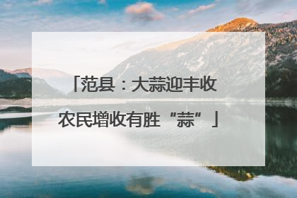 范县：大蒜迎丰收 农民增收有胜“蒜”