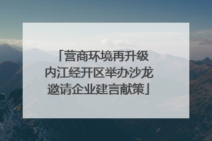 营商环境再升级 内江经开区举办沙龙邀请企业建言献策
