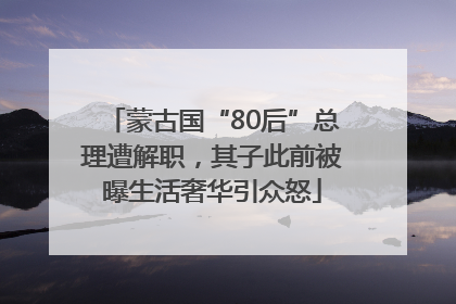蒙古国“80后”总理遭解职，其子此前被曝生活奢华引众怒
