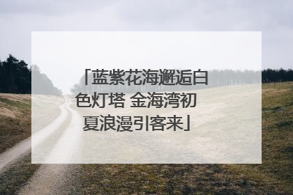 蓝紫花海邂逅白色灯塔 金海湾初夏浪漫引客来