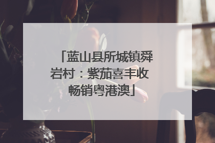 蓝山县所城镇舜岩村：紫茄喜丰收 畅销粤港澳