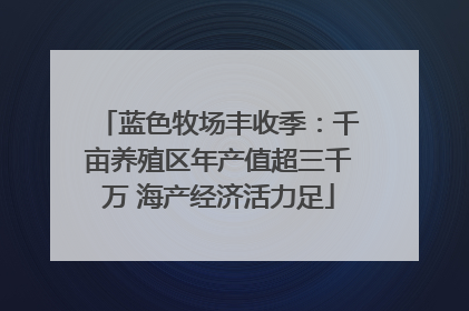 蓝色牧场丰收季：千亩养殖区年产值超三千万 海产经济活力足