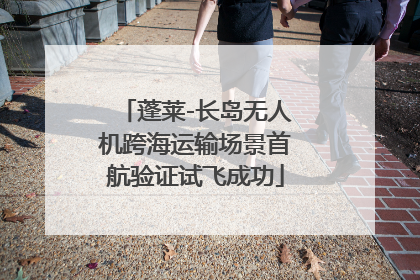 蓬莱-长岛无人机跨海运输场景首航验证试飞成功