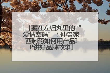 藏在左归丸里的“爱情密码”：仲景宛西制药如何用产品IP讲好品牌故事