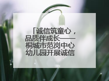 诚信筑童心，品质伴成长——桐城市范岗中心幼儿园开展诚信教育系列活动