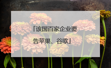 该国百家企业要告苹果、谷歌