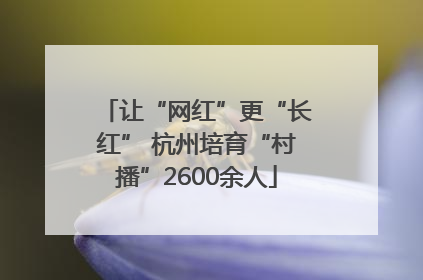 让“网红”更“长红” 杭州培育“村播”2600余人