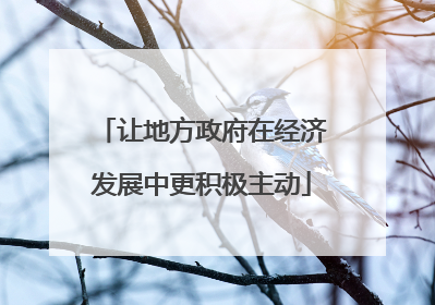 让地方政府在经济发展中更积极主动