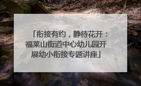 衔接有约，静待花开：福莱山街道中心幼儿园开展幼小衔接专题讲座
