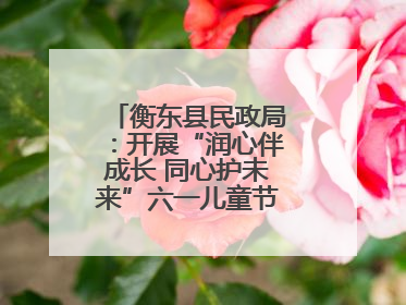 衡东县民政局：开展“润心伴成长 同心护未来”六一儿童节系列关爱活动