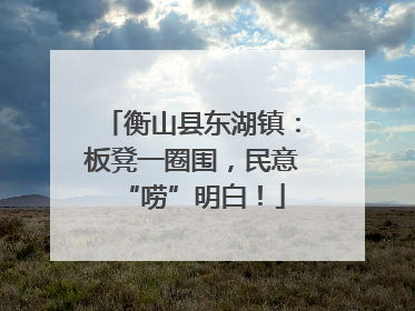衡山县东湖镇：板凳一圈围，民意“唠”明白！