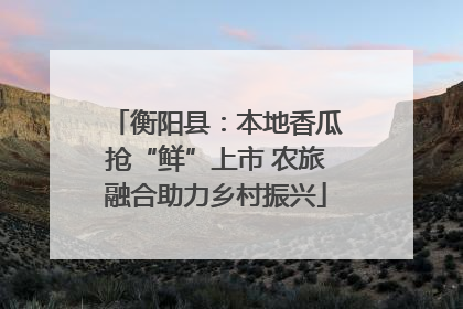 衡阳县：本地香瓜抢“鲜”上市 农旅融合助力乡村振兴